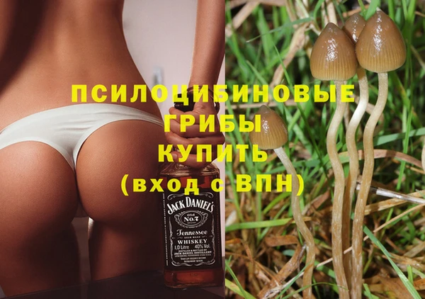 экстази Липки