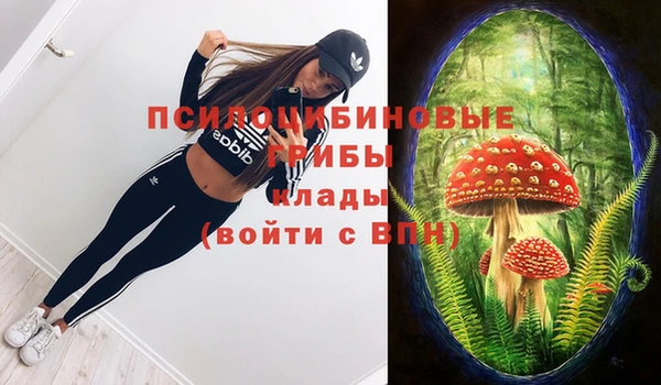 экстази Липки