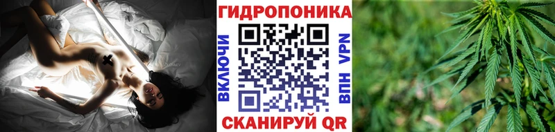 Бошки марихуана индика  Агрыз 